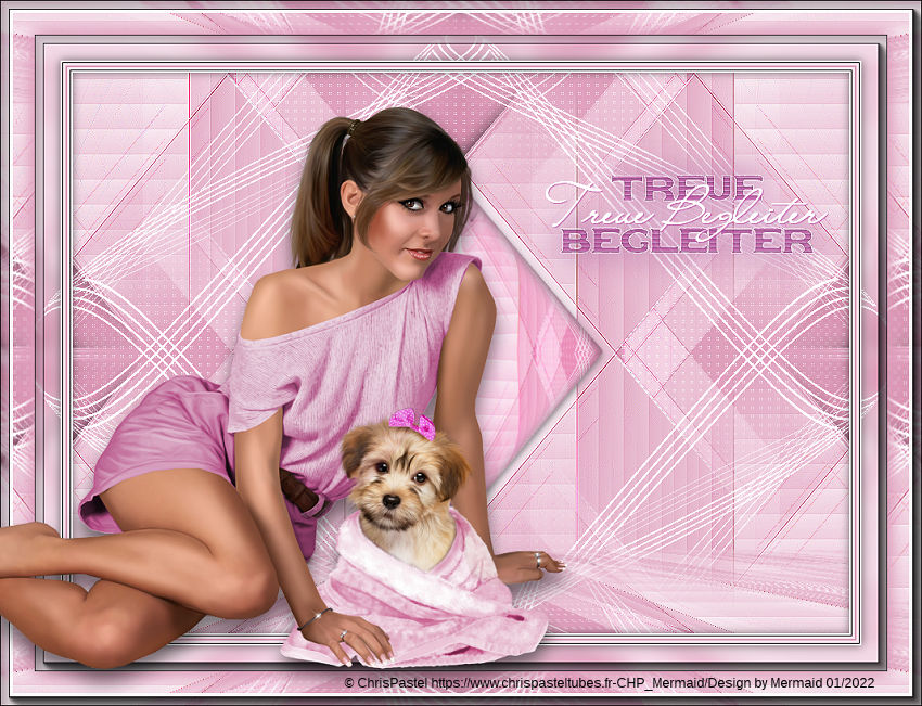 Treue Begleiter&nbsp;by Roadrunners